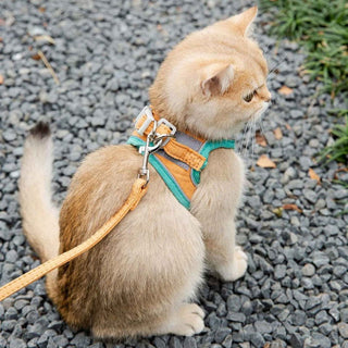 Cat Harness Leash Set for Chihuahua Accessories Dog Cat Vest Pug Leashes Walking Tools Walk Out Lead Product - Thomas Family Essentials LLC